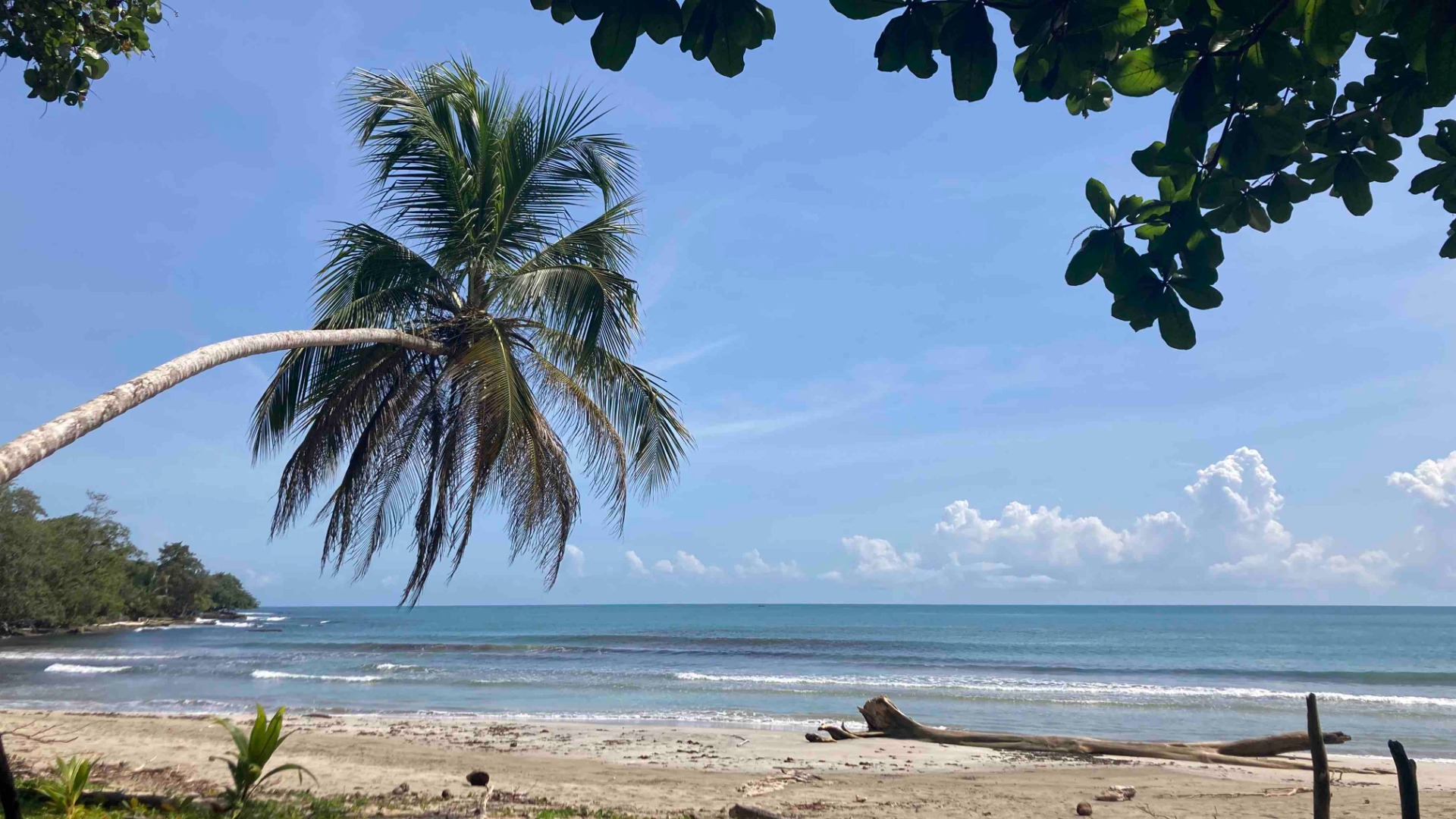 Cahuita National Park (Limon)